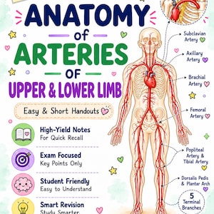 May include: An educational anatomy poster titled DR. AMUSH PT'S ANATOMY of ARTERIES OF UPPER & LOWER LIMB. It features a central human skeletal diagram with red arteries, labelled with specific names like Subclavian and Femoral Artery, alongside study notes.
