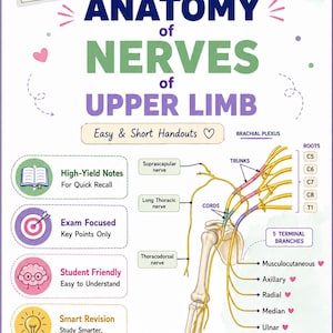 May include: An educational poster titled DR. AMUSH PT's ANATOMY of NERVES of UPPER LIMB. It features a diagram of the brachial plexus with labeled roots, trunks, cords, and terminal branches, alongside bulleted study tips and icons for medical students.