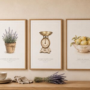 Può includere: Tre stampe da parete incorniciate con illustrazioni botaniche e da cucina. La stampa a sinistra mostra lavanda in un vaso di terracotta, quella centrale una bilancia da cucina antica e quella a destra una ciotola con limoni.