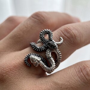 Könnte beinhalten: Ein silberfarbener Ring mit einem doppelköpfigen Schlangendesign, das sich um den Finger windet. Das Metall hat ein dunkles, oxidiertes Finish in den vertieften Bereichen zwischen den Schuppen, was die detaillierte Textur des Schlangenkörpers betont.