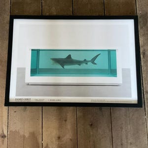 Damien hirst shark - Etsy 日本