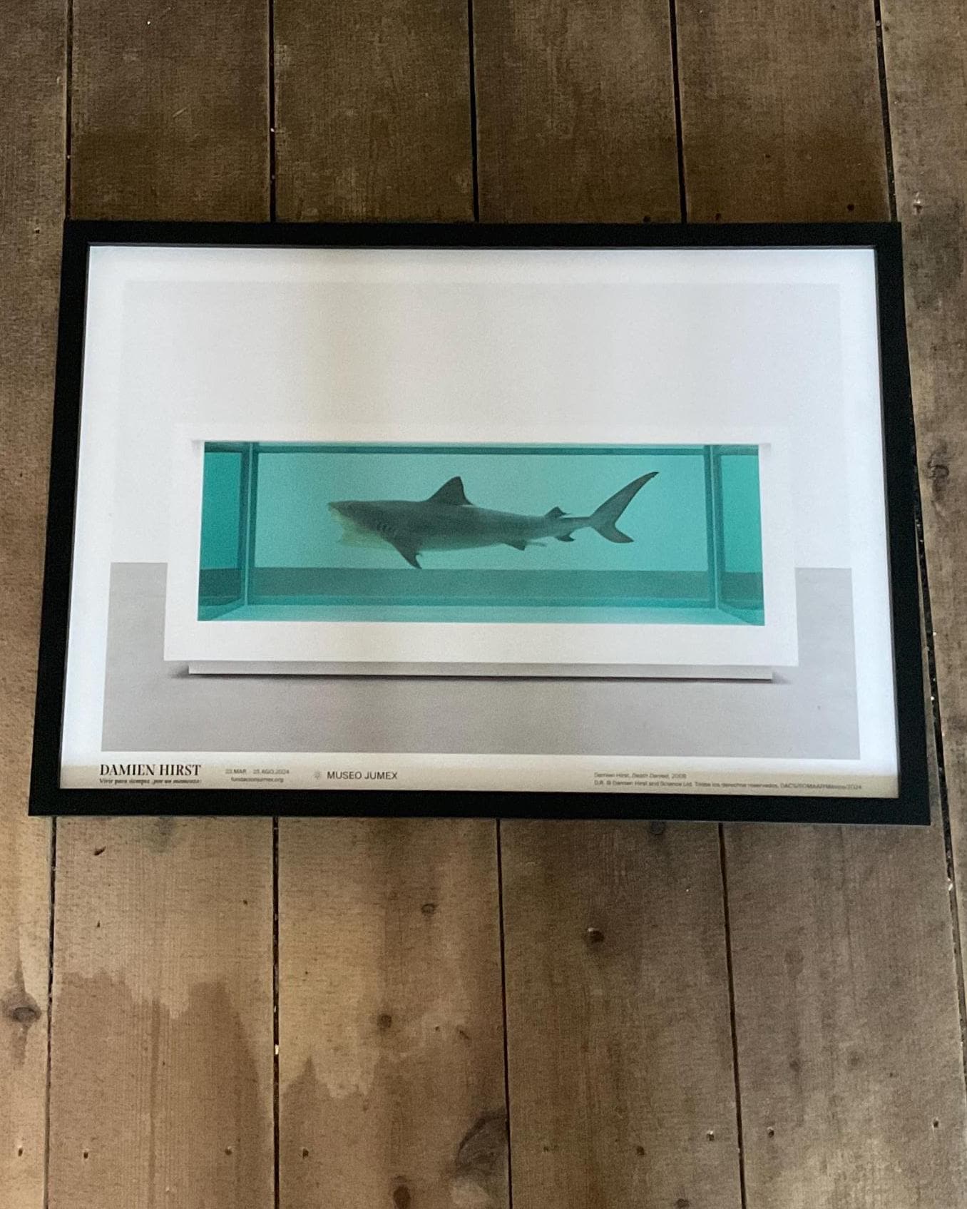 Damien hirst shark - Etsy 日本