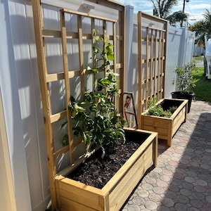 May include: Two rectangular wooden planter boxes with integrated tall vertical lattice trellises. The natural light-colored wood frames contain dark soil, with a green climbing plant growing up the front trellis and smaller plants in the rear box.