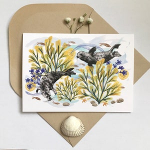 May include: Greeting card featuring an illustration of two seals swimming amongst yellow and blue seaweed. The seals are black and white with a speckled pattern. The card is on a brown envelope with a seashell.