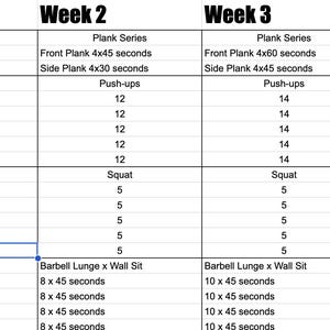May include: A four-week fitness workout schedule table titled Plank Series, Tomorrow's Prep, Core Lift, and Super Set #1. The grid lists specific exercises like front planks, side planks, push-ups, squats, barbell lunges, and wall sits with durations.