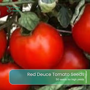 May include: A cluster of ripe red tomatoes on the vine with green leaves. A green overlay at the bottom displays the text Green Haven, Red Deuce Tomato Seeds, and 50 seeds for high yields in white font against a blurred tomato background.