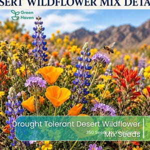 May include: A vibrant field of desert wildflowers featuring tall purple lupines, bright orange poppies, and red paintbrush flowers under a clear sky. A honeybee flies near the blooms. Text reads: Desert Wildflower Mix, Green Haven, 350 Seeds.