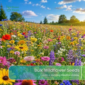 May include: A vibrant meadow filled with diverse wildflowers in shades of yellow, purple, pink, and red under a blue sky. The image features the Green Haven logo and the text Bulk Wildflower Seeds. Create a stunning meadow display.