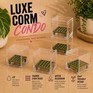 May include: Four clear acrylic square containers for plant corm propagation, each featuring a removable lid and an internal olive green square riser with a grid pattern. The text LUXE CORM CONDO and CULTIVATED, NOT RUSHED is visible on the surface.