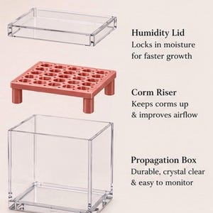 Puede incluir: Una caja de propagaci&oacute;n de acr&iacute;lico transparente con una tapa de humedad a juego y un elevador de cormos color oro rosa con una rejilla de aberturas hexagonales. El texto WHAT'S INCLUDED y BOX INCLUDED aparece junto a las descripciones.