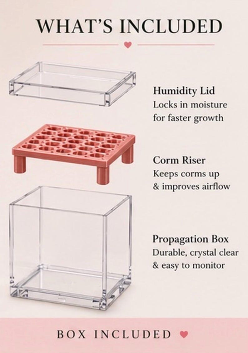 Puede incluir: Una caja de propagaci&oacute;n de acr&iacute;lico transparente con una tapa de humedad a juego y un elevador de cormos color oro rosa con una rejilla de aberturas hexagonales. El texto WHAT'S INCLUDED y BOX INCLUDED aparece junto a las descripciones.