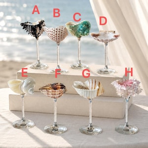 Könnte beinhalten: Acht dekorative Kelche mit verschiedenen natürlichen Muscheln als Schalen, montiert auf klaren Glasstielen mit strukturierten Füßen. Jede Muschel ist mit einem roten Buchstaben von A bis H gekennzeichnet und zeigt diverse Farben und Formen.
