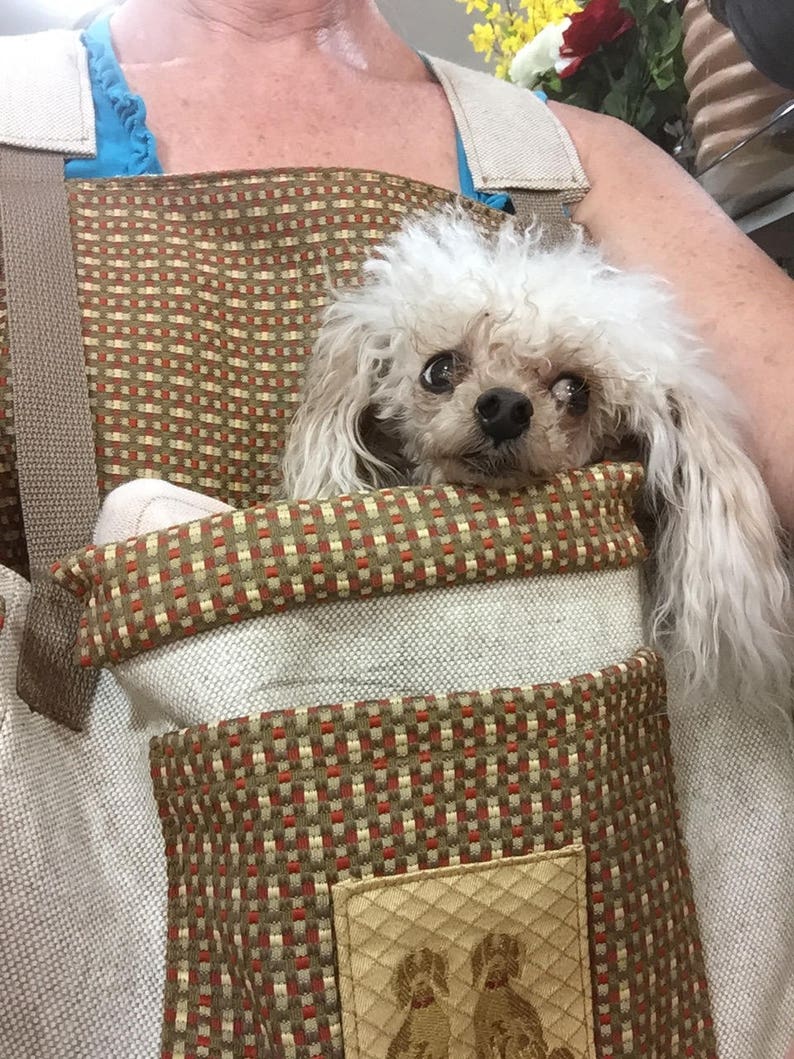 Pet Carrier Teacup Dog Carrier Front Pack Carrier Etsy