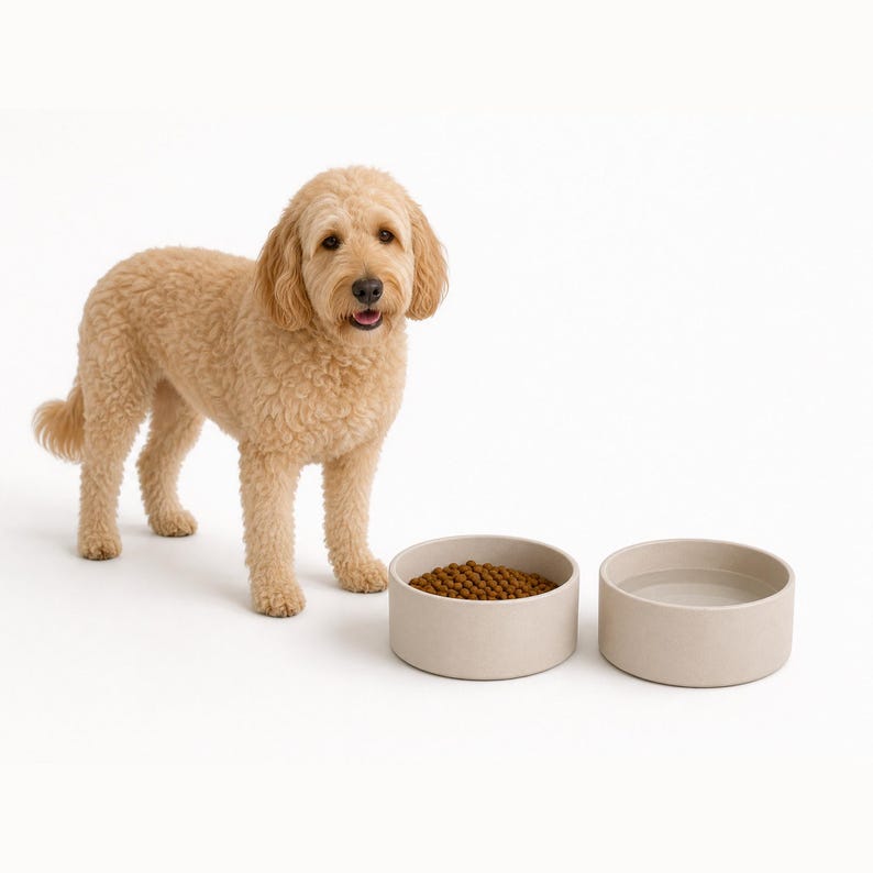 Goldendoodle standing beside a pair of ceramic dog bowls in oatmeal stoneware, one with dry food and one empty, showing the bowl height against a medium dog