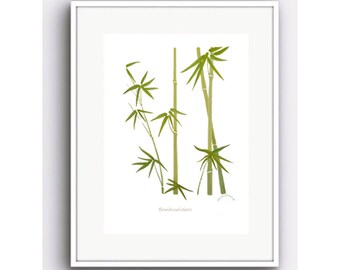 Bamboo Watercolor Fine Art Print Tropical Botanical Giclee