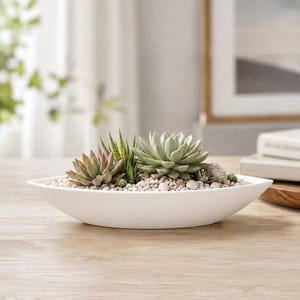Peut inclure: Un bol en céramique blanc, peu profond et de forme ovale, rempli de petits cailloux de couleur claire et d'une variété de plantes succulentes vertes et aux pointes rougeâtres. L'arrangement présente plusieurs types de plantes distinctes.
