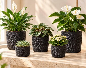 Textured Plant Pot, Modern Indoor Planter, Succulent and Cactus Pot, Decorative Plant Holder, Plant Lover Gift, 5 Sizes