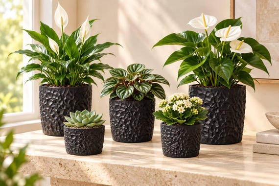 Textured Plant Pot