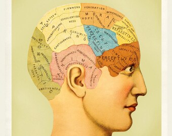 PHRENOLOGY - 11x14 Print on Matte Photo Paper - Restored Vintage 1900&#39;s Mental Map - Medical Illustration