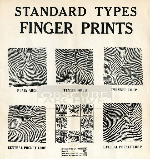 Fingerprint Identification Chart