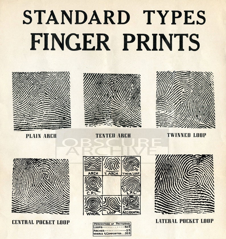 Fingerprint Chart