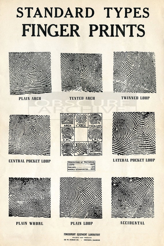 Fingerprint Chart