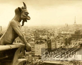 PARIS 1960 - a Notre Dame gargoyle watches the Eiffel Tower in this unusual view - vintage photograph