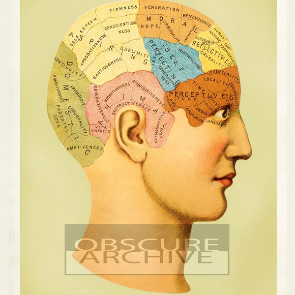 PHRENOLOGY - Restored Vintage 1900's Mental Map - Photographic Print of Medical Textbook Illustration