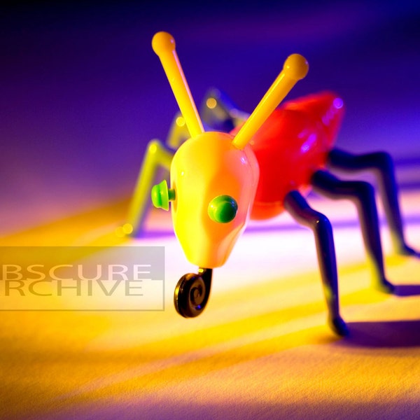 COOTIE - a rare mid-century insect - original fine art photograph of a classic 1960's toy