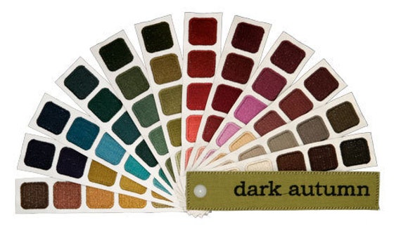 Color Harmony Swatch Book Palette for Dark Autumn 