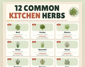 May include: A digital chart titled 12 COMMON KITCHEN HERBS featuring illustrations of basil, parsley, cilantro, chives, spearmint, thyme, rosemary, oregano, and sage. Each entry includes the common name, scientific name, and common culinary uses.