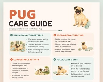 May include: A Pug Care Guide infographic featuring illustrations of a fawn pug. The text includes headings like PUG CARE GUIDE, KEEP COOL & COMFORTABLE, FOOD & BODY CONDITION, COMFORTABLE ACTIVITY, FOLDS, COAT & EYES, and TRAINING, COMPANY & ROUTINE HEALTH.