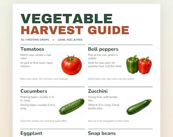 May include: A printable Vegetable Harvest Guide document featuring text and illustrations of tomatoes, bell peppers, cucumbers, zucchini, eggplant, and snap beans. The guide provides harvesting instructions for fruiting crops in inches.