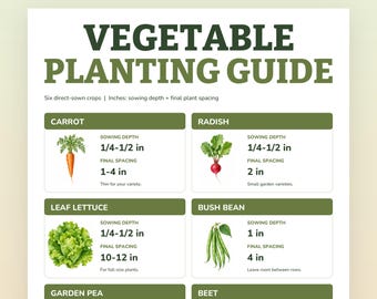 May include: A printable vegetable planting guide featuring the title VEGETABLE PLANTING GUIDE and six sections for carrot, radish, leaf lettuce, bush bean, garden pea, and beet. Each section includes an illustration, sowing depth, and spacing in inches.