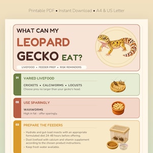 May include: An educational infographic titled WHAT CAN MY LEOPARD GECKO EAT? featuring a yellow and brown spotted leopard gecko illustration. It lists three sections: Varied Livefood with crickets, calciworms, and locusts; Use Sparingly with waxworms; and Prepare The Feeders with instructions on gut-loading and dusting insects.
