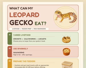 May include: An educational infographic titled WHAT CAN MY LEOPARD GECKO EAT? featuring a yellow and brown spotted leopard gecko illustration. It lists three sections: Varied Livefood with crickets, calciworms, and locusts; Use Sparingly with waxworms; and Prepare The Feeders with instructions on gut-loading and dusting insects.