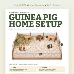 Peut inclure: Un guide PDF imprimable intitulé GUINEA PIG HOME SETUP présentant un schéma d'enclos avec des zones numérotées. Le graphique montre un enclos en bois avec des panneaux transparents, du foin, trois abris, un biberon et deux cochons d'Inde.