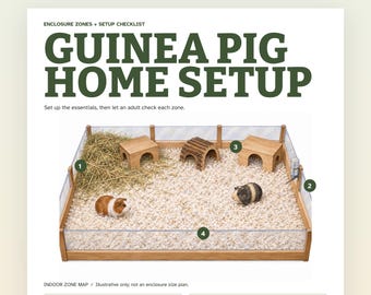 May include: A printable PDF guide titled GUINEA PIG HOME SETUP featuring an enclosure diagram with numbered zones. The graphic shows a wooden enclosure with clear panels, hay, three small shelters, a water bottle, and two guinea pigs on bedding.