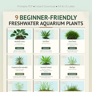 Guía para principiantes sobre plantas de acuario de agua dulce (PDF imprimible), 9 perfiles de plantas.