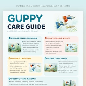 Op de afbeelding: Een printbare Guppy Care Guide met de titel GUPPY CARE GUIDE en vijf genummerde secties. De infographic bevat aquarelillustraties van kleurrijke guppy's, waterplanten en tekstuele instructies voor het onderhoud van het aquarium.