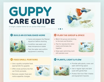 May include: A printable Guppy Care Guide document featuring the title GUPPY CARE GUIDE and five numbered sections. The infographic includes watercolour illustrations of colourful guppies, aquatic plants, and text instructions for aquarium maintenance.