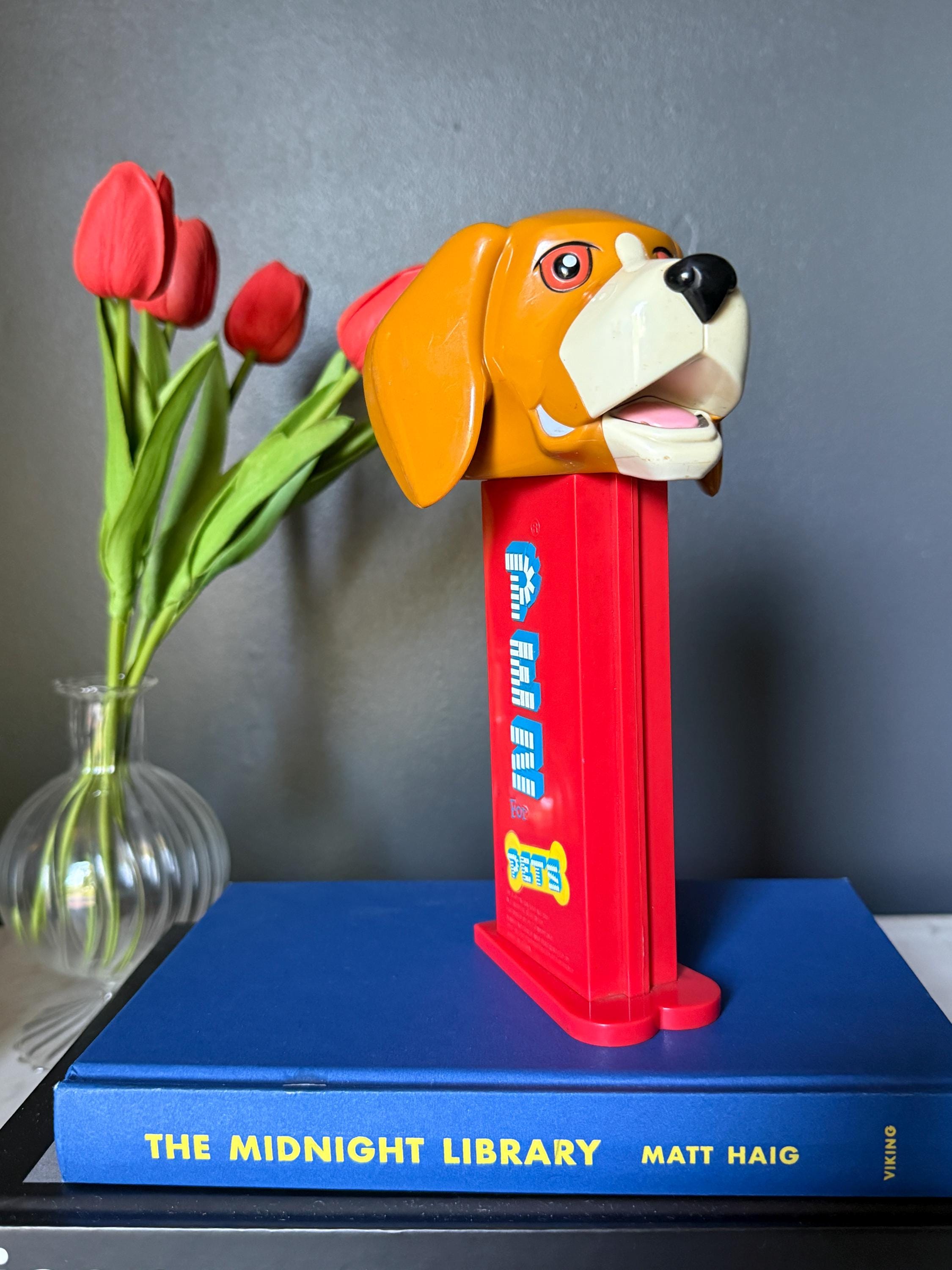 Giant Pez Dispenser - Etsy
