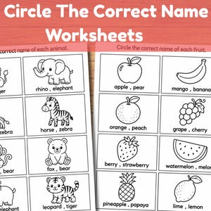 May include: Two educational worksheets titled 25 Circle The Correct Name Worksheets featuring black and white line drawings of animals and fruits. Each image is paired with two text options for children to circle the correct name.