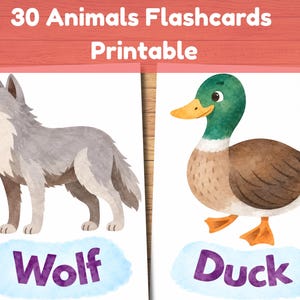 Könnte beinhalten: Ein Set aus 30 druckbaren Tier-Lernkarten mit Aquarellillustrationen eines grauen Wolfs und einer Stockente. Jede Karte zeigt den Namen des Tieres in violetter Schrift auf einer hellblauen, wolkenartigen Form am unteren Rand der Karte.