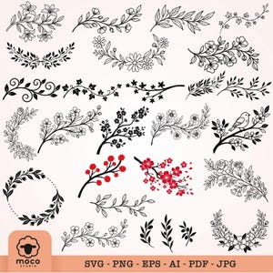 Pode incluir: Uma coleção de ilustrações botânicas em preto e vermelho com vários ramos florais, vinhas frondosas, grinaldas e um pequeno pássaro. O conjunto gráfico inclui diversos motivos vegetais, alguns com flores vermelhas, e o texto moco studio SVG PNG EPS AI PDF JPG.
