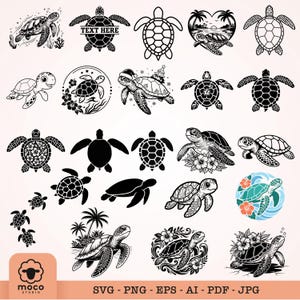 Havssköldpadda SVG-paket, blommig havssköldpadda Svg, havssköldpadda Clipart, havssköldpadda klippfil, strandsköldpadda vektor, sköldpadda Svg, babysköldpadda Svg