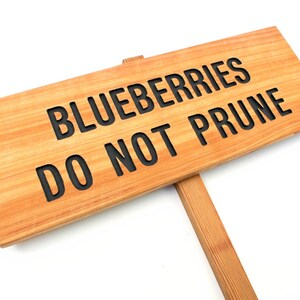 CUSTOM Do Not Prune Marker, Personalized Sign, Custom Garden Marker, Do Not Prune Sign, Garden Decor, Warning Sign, Your Name Here, Yard Art