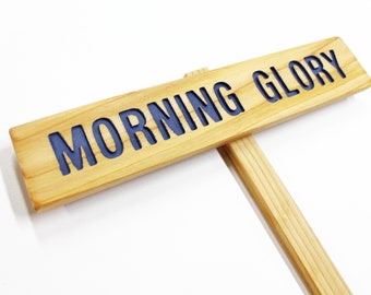 Letrero de gloria de la mañana, arte de jardín, marcador para exteriores, letrero de flores, letrero de plantas, letrero anual, marcador de plantas perennes, planta de vid, letrero de jardín