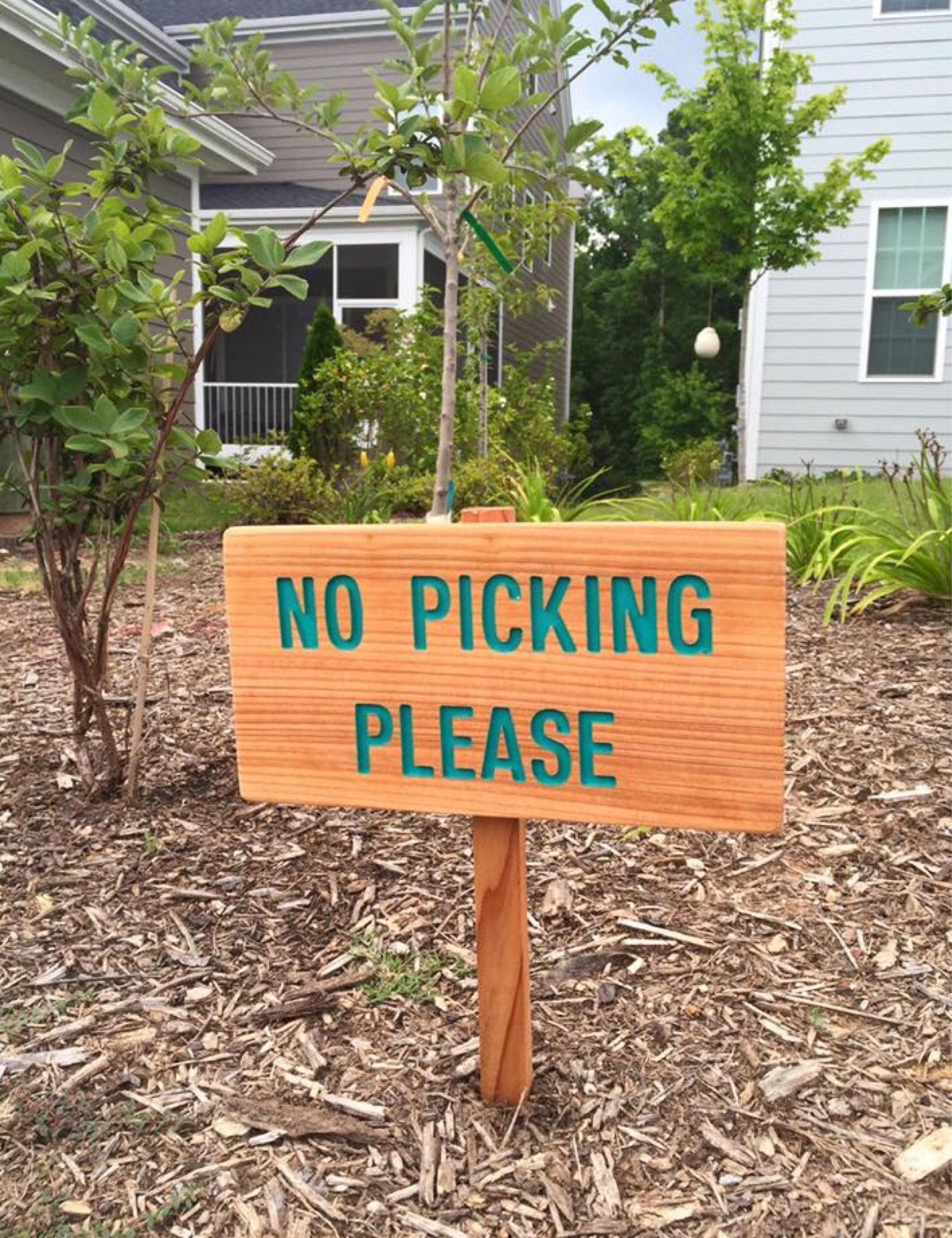 NO PICKING PLEASE Sign Outdoor Marker Yard Art Flower Etsy UK