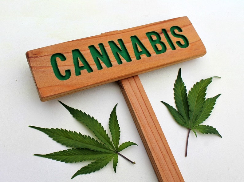 CANNABIS Sign, Marijuana Marker, Medicinal Herbs Signage, Grow Room Sign, Custom Sign, Personalized Marker, Garden Art, Indoor Decor image 1